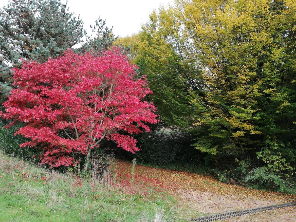 Le Gite du Parc La Coquille Extérieur photo